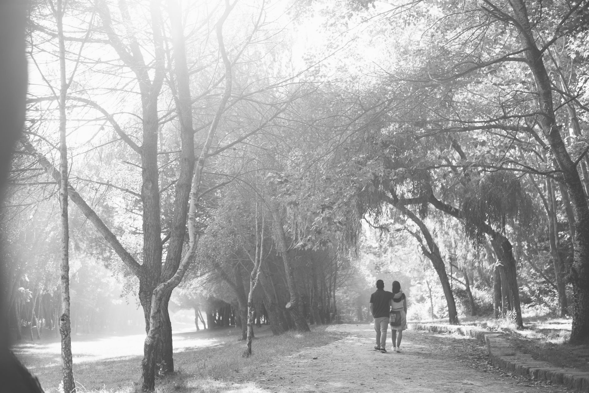 Foto O Amor É Tão Simples - Parque da Cidade do Porto Foto O Amor É Tão Simples - Parque da Cidade do Porto - Imagem 4