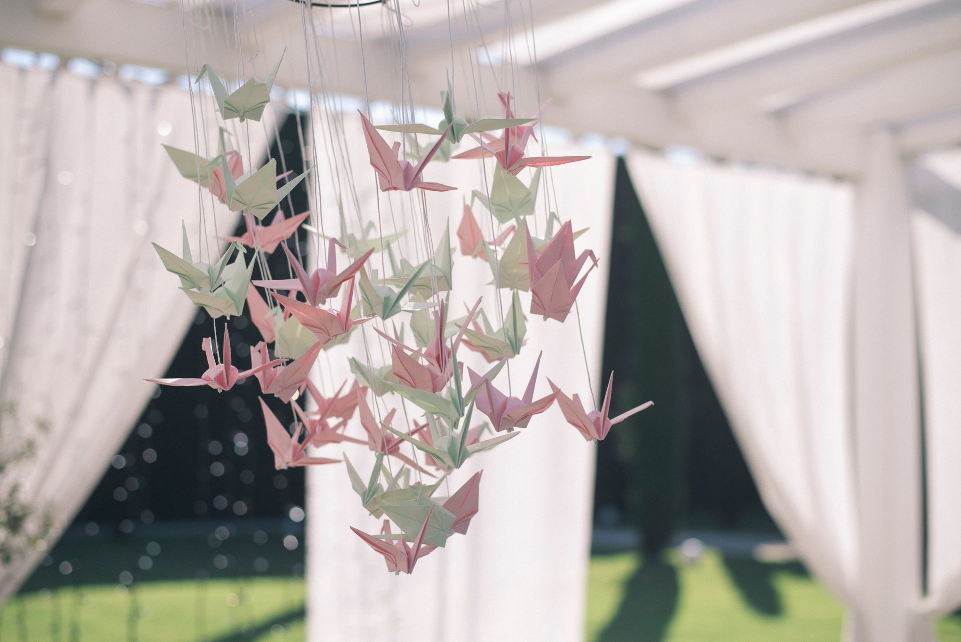 Foto Casamento Romântico e Festa Rija no Porto - Quinta de Prata Foto Casamento Romântico e Festa Rija no Porto - Quinta de Prata - Imagem 58