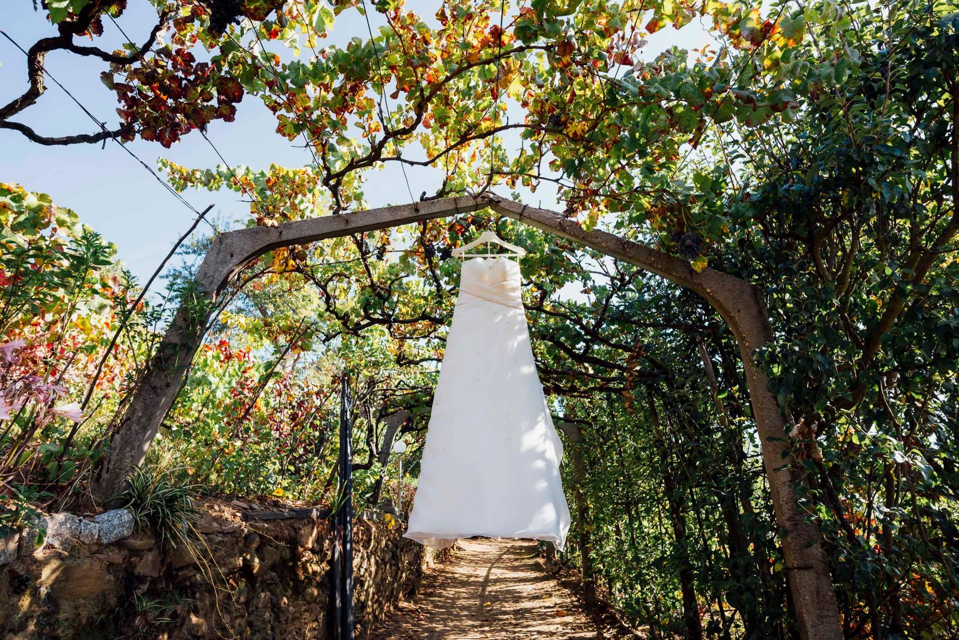Foto Porquê organizar o casamento com tanta antecedência? Foto Porquê organizar o casamento com tanta antecedência? - Imagem 6