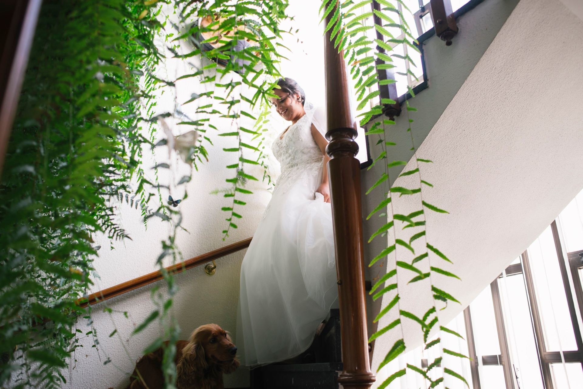 Foto Alegria e diversão em emotivo casamento em Alfena - Daniela e André Foto Alegria e diversão em emotivo casamento em Alfena - Daniela e André - Imagem 23